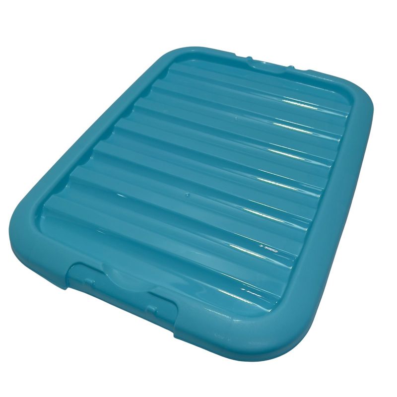 524910_tapa_azul