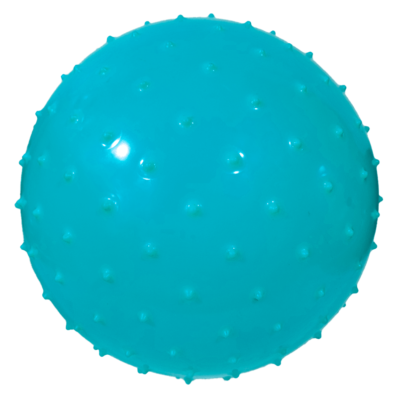 528972-2