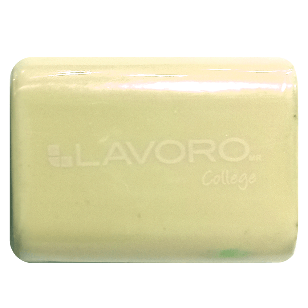 Goma De Borrar Miga Colores Pastel Surtidos 6 B 1 unidad Lavoro