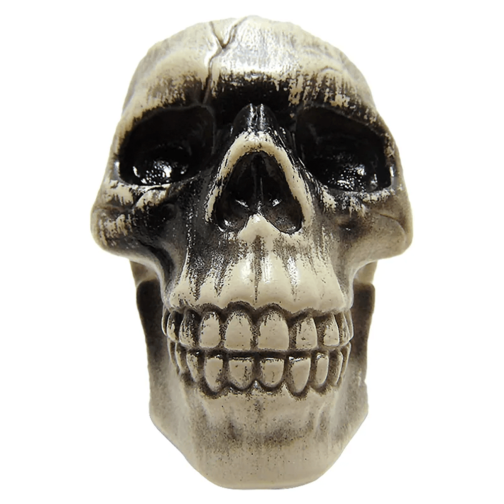 Cabeza Calavera Big Party