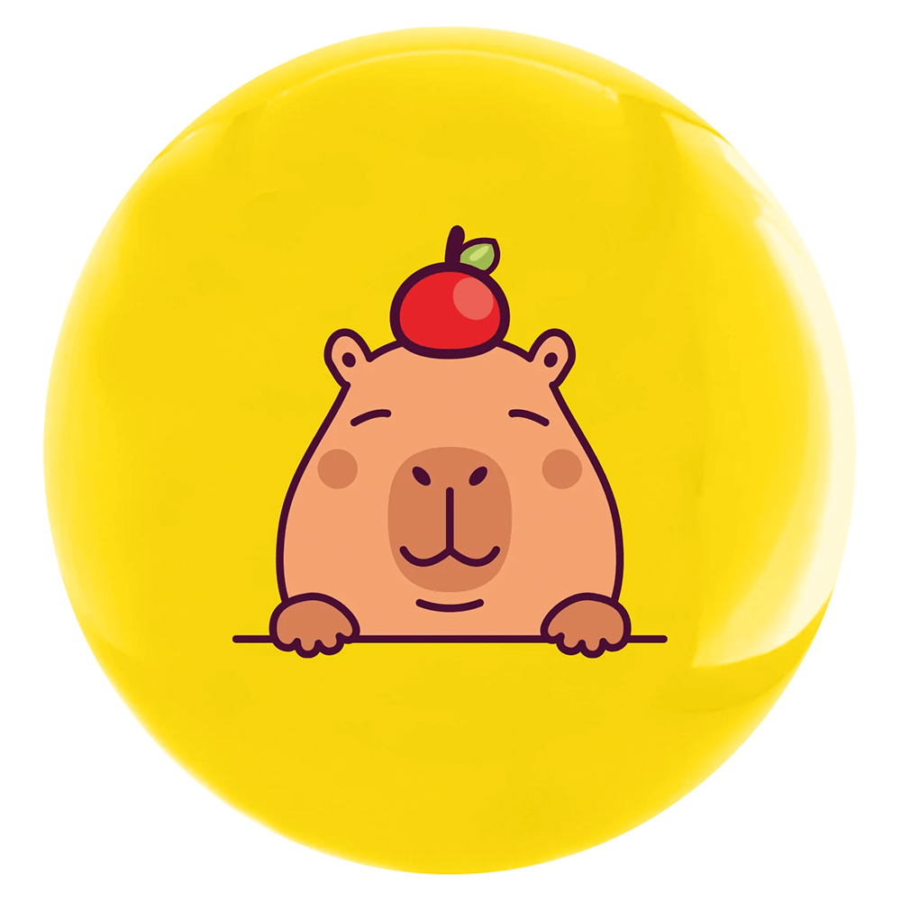 Pelota De Pvc 22 Cms Capibaras 4 Diseños Surtidos Nobel Toys